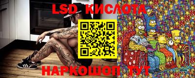 PSILOCYBIN Азнакаево