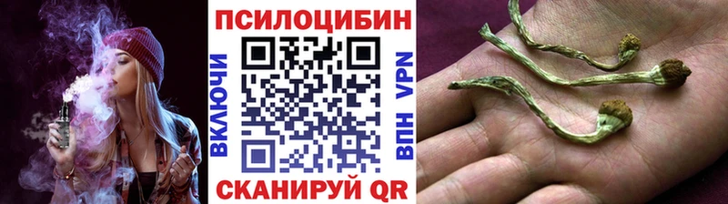 Галлюциногенные грибы прущие грибы  Владикавказ 