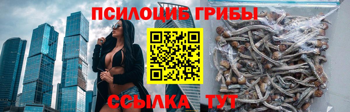 Галлюциногенные грибы мухоморы  Владикавказ 