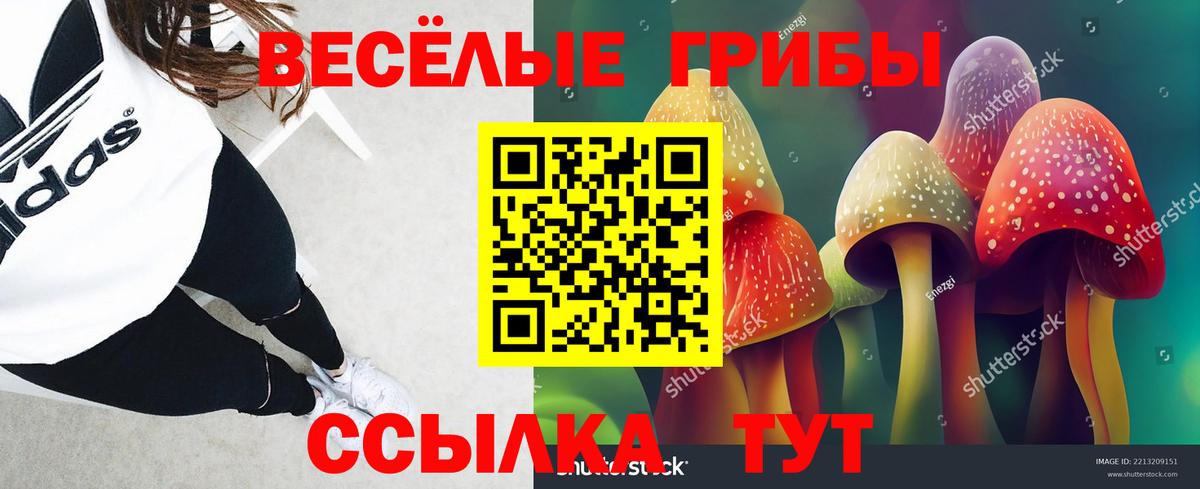 Владикавказ  Псилоцибиновые грибы ЛСД  Вход с VPN 