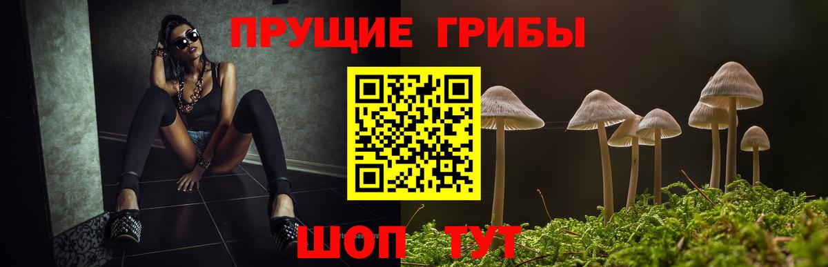 Галлюциногенные грибы ЛСД Владикавказ