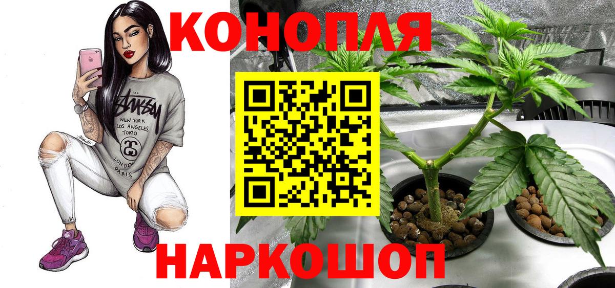 Шишки марихуана сатива  Канабис ГИДРОПОН  Владикавказ 